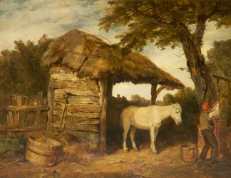 Rustic Shed